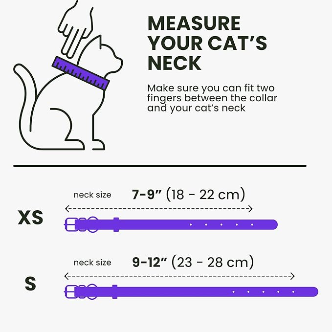 BRONZEDOG Leather Cat Collar with Removable Bells Non Breakaway Kitten QR Tag for Girl Boy (7" - 9" for Cats, Purple & Gold)