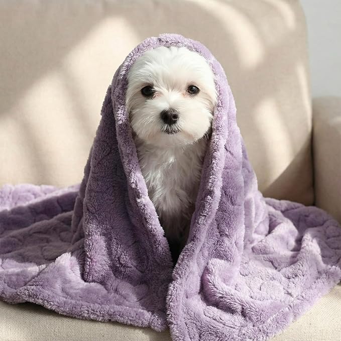 Tegeme 3 Pcs Small Dog Blanket 280 GSM Washable Pet Bed Cover Soft Fluffy Puppy Blanket 3D Textured Heart Checkered Pattern Fleece Soft Cat Plush Pet Throws for Kitten Doggy(Classic Colors,30"×40")