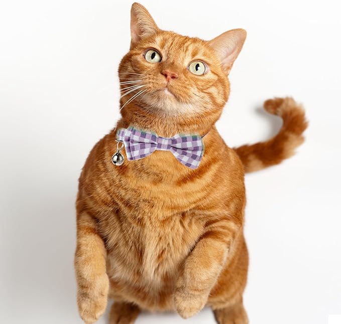 2 Pcs Kitten Collar with Bell Cute Cat Collar for Girl Cats Breakaway Bowtie Cat Collars Adjustable Small Puppy Safety Collar Solid Color Plaid Pet Collar (Purple)