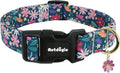 Dog Collar for Extra Small Dogs, Spring Dark Green Dog Collars with Flowers Pattern, Adjustable Puppy Dog Collars, Cute Girl or Boy Dog Collar Ideal for Gifts,Pet Accessory