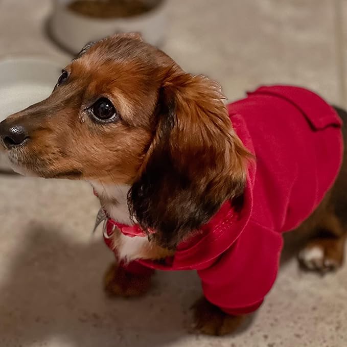 Jecikelon Winter Dog Hoodie Sweatshirts with Pockets Warm Dog Clothes for Small Dogs Chihuahua Coat Clothing Puppy Cat Custume (Wine red, X-Small)