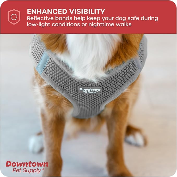Downtown Pet Supply Step-in Dog Harness – No Pull, Adjustable Padded Mesh with Reflective Trim, Secure Buckle Strap – Comfortable & Breathable Small Dog Harness, XX-Small, Light Gray