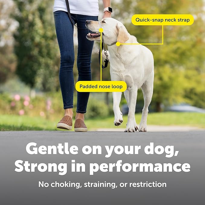 PetSafe Gentle Leader Headcollar - No-Pull Dog Collar for Better Walks - Adjustable for Snout-Specific Fit - Comfortable Head Harness - Large - Silver