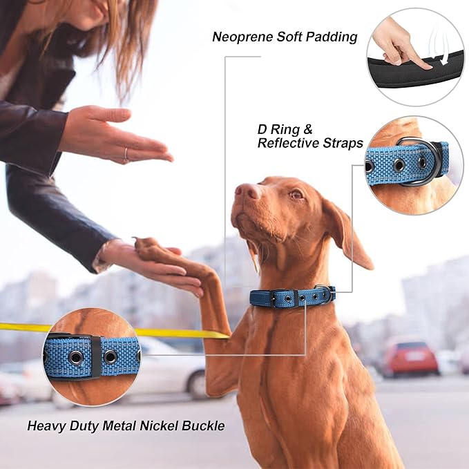 PetiFine Dog Collar for Large Dogs, Neoprene Padded and Adjustable, Reflective Wide Heavy Duty Pet Collars with Durable Metal Belt Buckle for Walking, Blue, XL