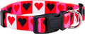 Native Pup Valentine’s Dog Collar- Valentines Day Pet Collars- Valentine Girly Hearts- Pink Red Heart- Cute Boy Girl Puppy Gift- Adjustable for Small, Medium, Large Breeds (Boxed Hearts, Small)