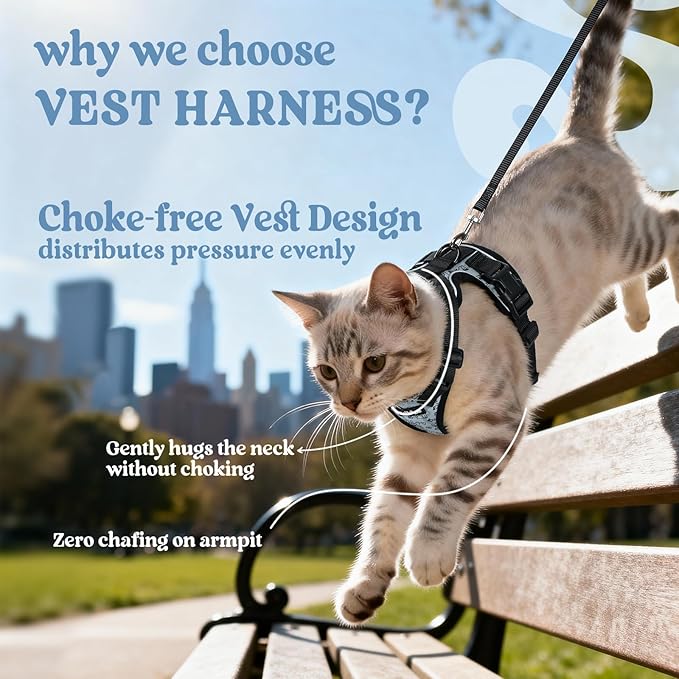 rabbitgoo Cat Harness and Leash for Walking, Escape Proof Soft Adjustable Vest Harnesses for Cats, Easy Control Breathable Reflective Strips Jacket, Doodle Gray,XS