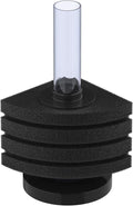 Pawfly Corner Sponge Filter Nano Quiet Betta Fry Shrimp and Small Fish Bio Foam Filter for Tiny Aquariums and Fish Tanks up to 10 Gallons (Air Pump Not Included)