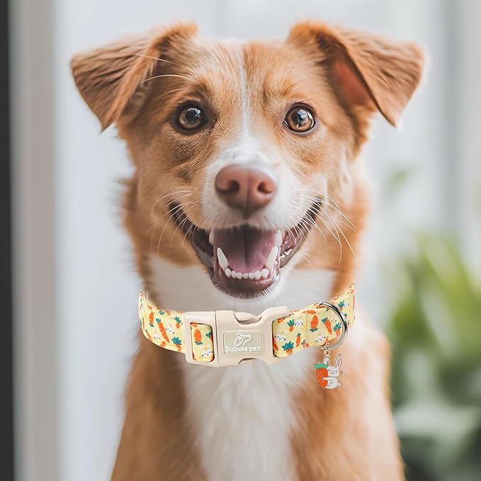 Easter Dog Collar for Giant Large Dogs - Cute Carrot Bunny Easter Collars for Boy Girl Dogs, Lightweight Adjustable Yellow Cartoon Holiday Dog Collar XL