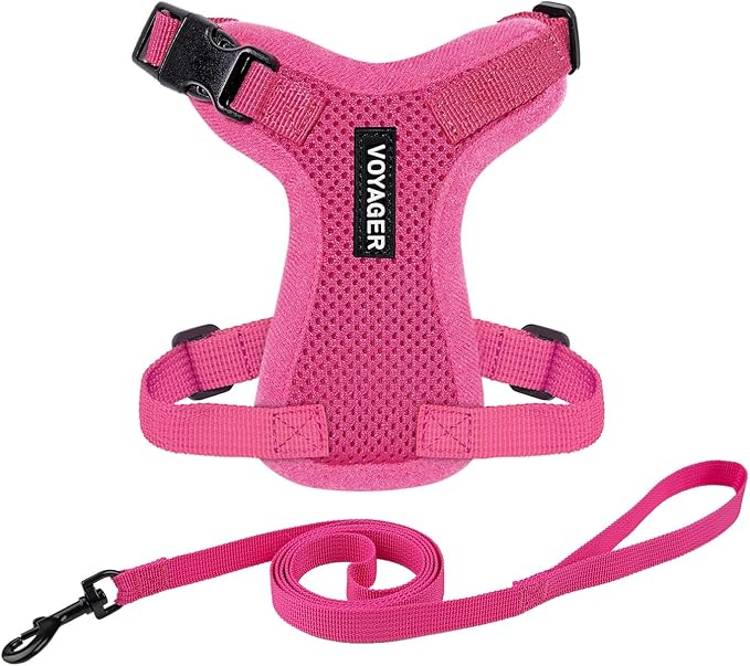 Voyager Escape-Proof Step-in Lock Cat Harness & 5ft Neoprene-Handle Leash Set All-Weather Mesh with Reflective Stitching for Small to Large Cats by Best Pet Supplies, Fuchsia, S