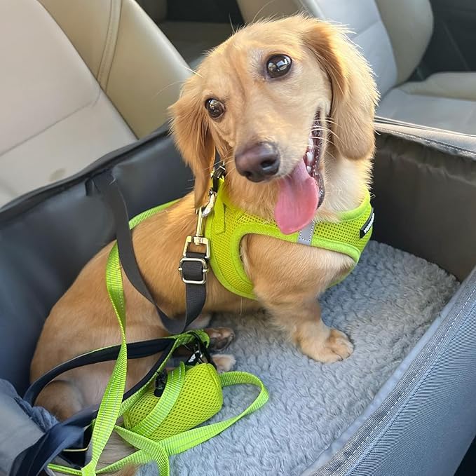 Best Pet Supplies Voyager Step-in Air All Weather Mesh Harness and Reflective Dog 5 ft Leash Combo with Neoprene Handle, for Small, Medium and Large Breed Puppies - Set (Lime Green), XXS