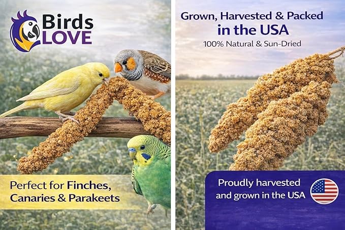 Birds LOVE Millet Tips & Tails for Birds - Parakeets, Cockatiels, Lovebirds, Finches, Budgies, Canaries, Cockatoos - Natural & Healthy Millet for Birds - Parakeet Food & Treats for All Parrots, 1lb