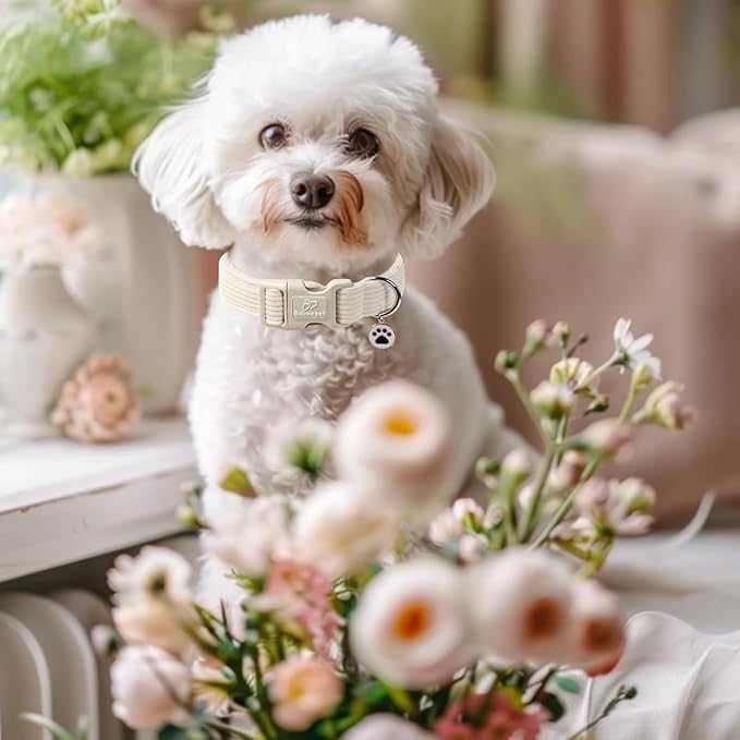 Cute Corduroy Dog Collar - White Adjustable Dog Collars for Small Dogs 10-25lbs, Fade-Proof with Secure Snap & Little Charm, Christmas Birthday Gift, S