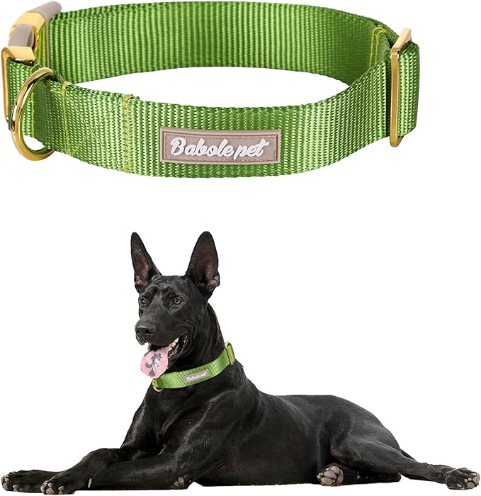 Nylon Dog Collar - Adjustable Green Soft Webbing Dog Collars for Small Medium Large Dogs Boy Girl Puppy Collar with Safety Metal Buckle M