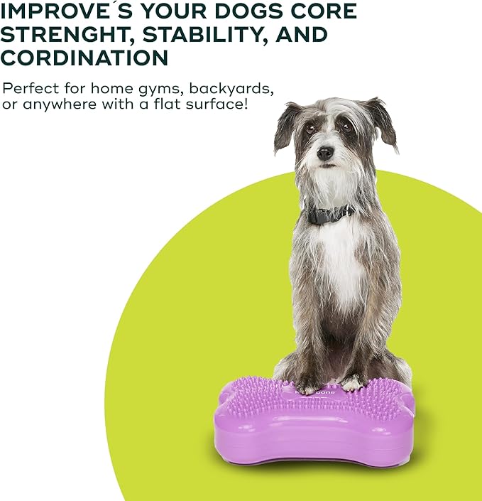 FitPAWS® K9FITbone® - Mini, Razzleberry (Set of 2) | Dog Balance Training Platform & Exercise Equipment | Workout Tool for Strength, Core & Stability