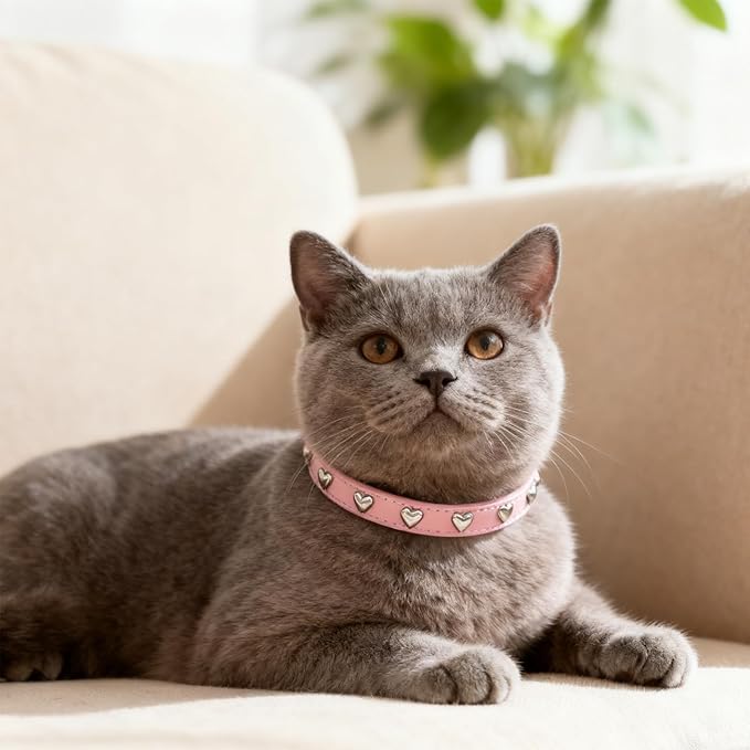 EXPAWLORER Leather Cat Collar for Girl Boy Valentine's Day - Adjustable Pet Collar with Safety Elastic Belt,Personalized Heart Accessories Buckle Collars with Bell & Durable D-Ring,Heart(Pink)