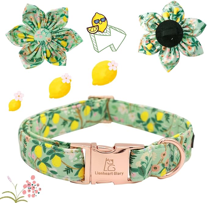 Lionheart Glory Dog Collar, Dog Collar with Flower, Cute Lemon Floral Pattern Pet Collar Adjustable Dog Collar for X-Small Dogs