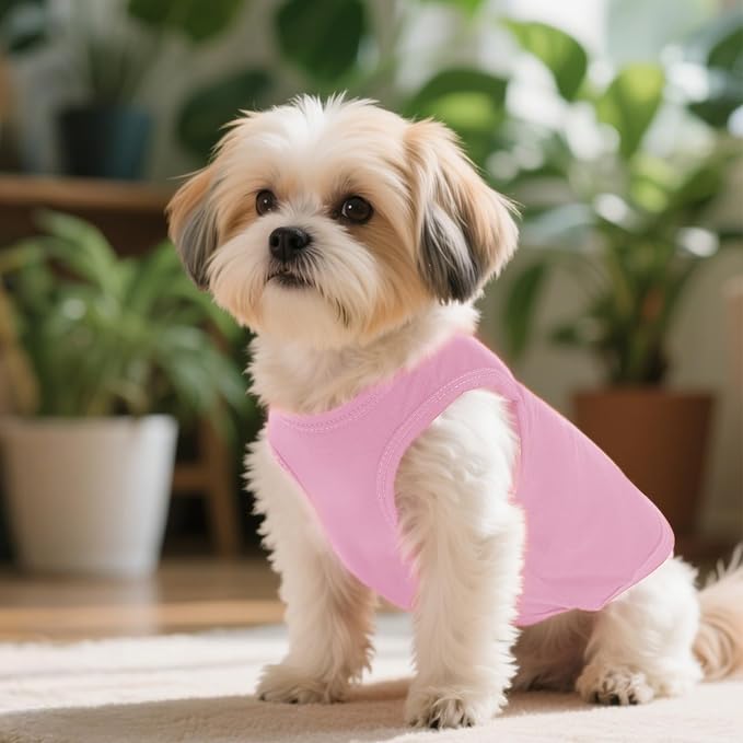 4 Pcs Cat Shirts Solid Color Dog Clothes Summer Sleeveless Pet T Shirts for Small Pet Dogs Cat (Black,Pink,Grey,Rose red, X-Large)