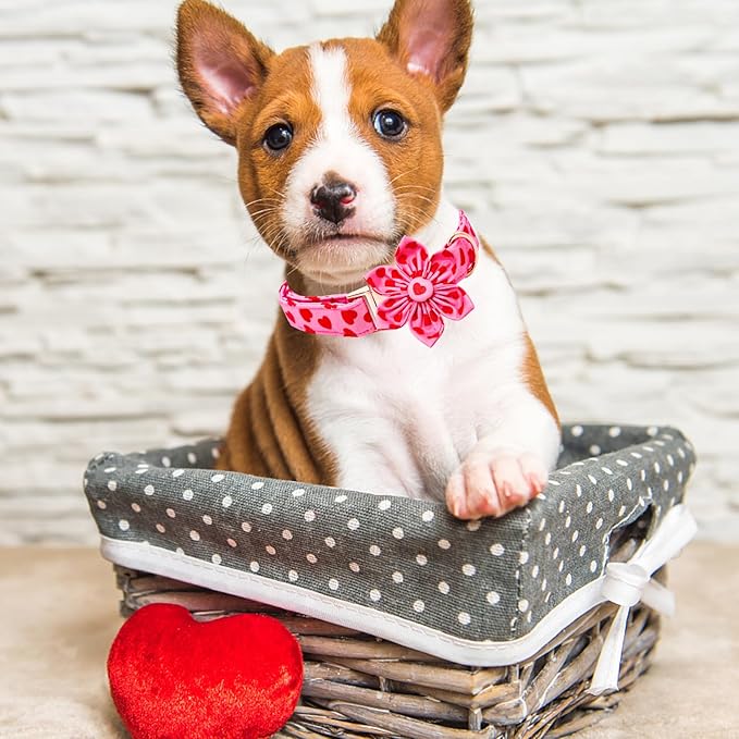Lionheart glory Valentine's Day Dog Collar with Flower Dog Collar for Large Dogs, Soft Adjustable Hearts Dogs Collars Spring Pet Collars Flower Puppy