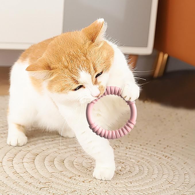 Natural Rubber Dog Chew Toy with Vanilla Scent for Aggressive Chewers, Durable Interactive Fetch and Tug Toy for Medium Dogs, Teething Relief Chew Ring Dishwasher Safe Non-Toxic (Pink)