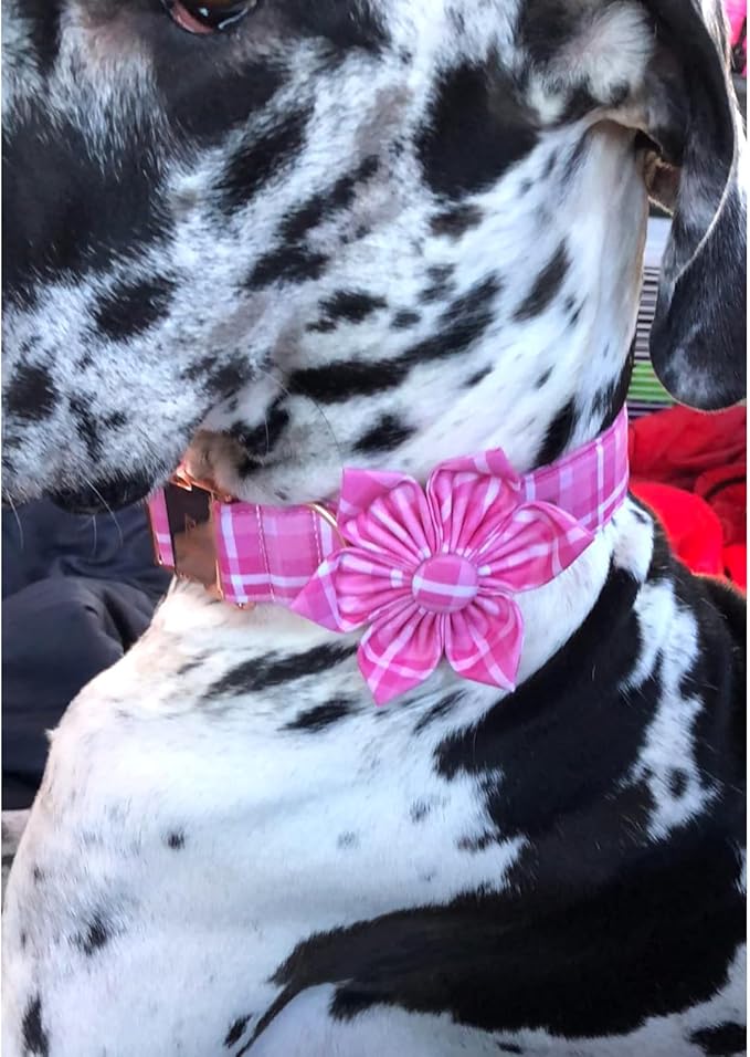 Lionheart Glory Dog Collar, Pink Dog Collar with Flower, Cute Floral Pattern Pet Collar Adjustable Pet Collar for X-Large Dogs