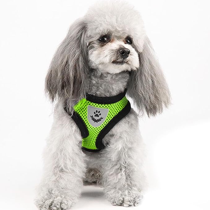 shudyear Summer cat Chest Harness and Leash, Anti-Escape Adjustable Soft mesh cat Leash and Chest Harness Set for All Types of Cats cat Vests (Size M,Green)