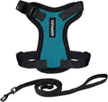 Voyager Escape-Proof Step-in Lock Cat Harness & 5ft Neoprene-Handle Leash Set All-Weather Mesh with Reflective Stitching for Small to Large Cats by Best Pet Supplies, Turquoise/Black Trim, XXXS