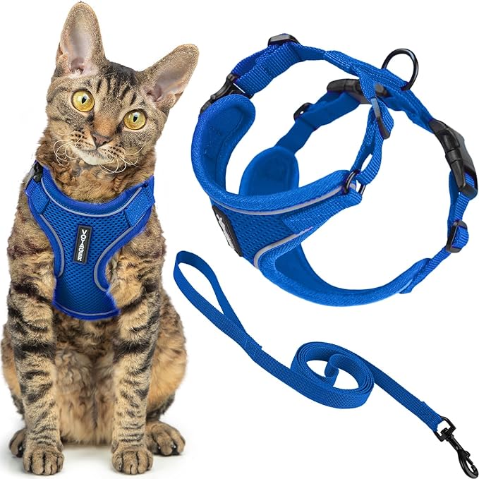 Voyager Escape-Proof Step-in Lock Cat Harness & 5ft Neoprene-Handle Leash Set All-Weather Mesh with Reflective Stitching for Small to Large Cats by Best Pet Supplies, Royal Blue (327), S