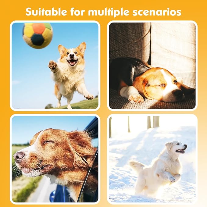 2-in-1 GPS Tracker for Dogs: Smart Collar with Real-Time Location, No Monthly Fee, Unlimited Range (iOS Only) GPS Tracker Dog Collar- Ideal for Small, Medium Large Dogs(Tracker Included)(Green)