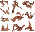 Jorewood Natural Small Aquarium Driftwood for Fish Tanks & Reptile Terrariums – Safe Fish Tank Decorations, Unique Twisted Branches 10-Piece 2-4 Inch Low Tannin, Easy to Sink