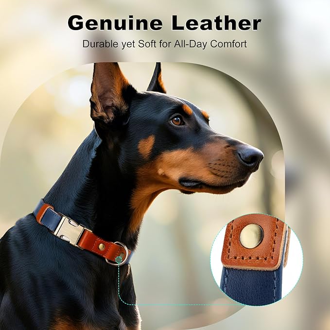 Plutus Pet Genuine Leather & Hemp Dog Collar – Adjustable Heavy Duty Pet Collar with Quick Release Metal Buckle, Soft & Stylish for Puppy and Small, Medium, Large Dogs (Royal Blue, S)