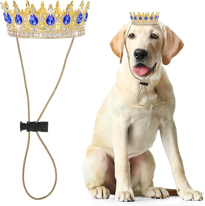 Abbylike Pet Rhinestone King Crown, Queen Crown for Birthday New Year Costume for Small Dog Cat Cosplay Party Accessories Adoption Celebration Wedding Birthday Photos Prop Costume(Blue,Large)
