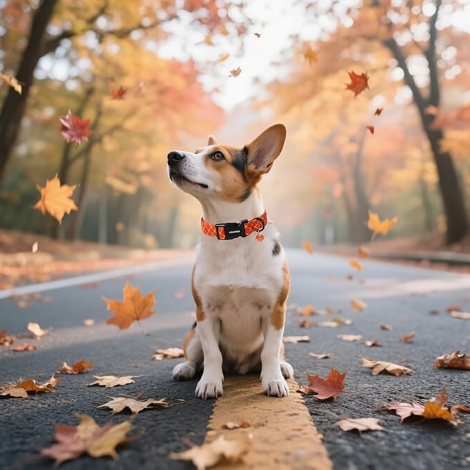DOGWONG Fall Plaid Dog Collar, Cherkered Autumn Dog Collars, Adjustable Cute Halloween Pet Collars Design Dog Collar for Small Medium Large Dogs