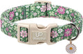 St. Patrick's Day Dog Collar, UP URARA PUP Shamrock Adjustable Pet Collar with Quick Release, St. Patrick's Day Dog Accessories for Small Medium Large Dogs