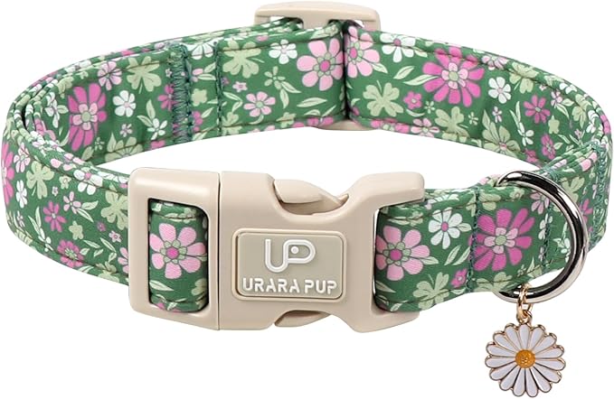 St. Patrick's Day Dog Collar, UP URARA PUP Shamrock Adjustable Pet Collar with Quick Release, St. Patrick's Day Dog Accessories for Small Medium Large Dogs