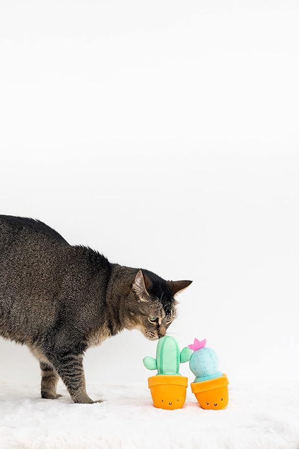 Pearhead Prickly Plants Cat Toy Set, Cute Catnip Toys, Plush Cactus Interactive Chew Toys, Pet Owner Must Have Catnip Toys, Set of 2 Plush Toys
