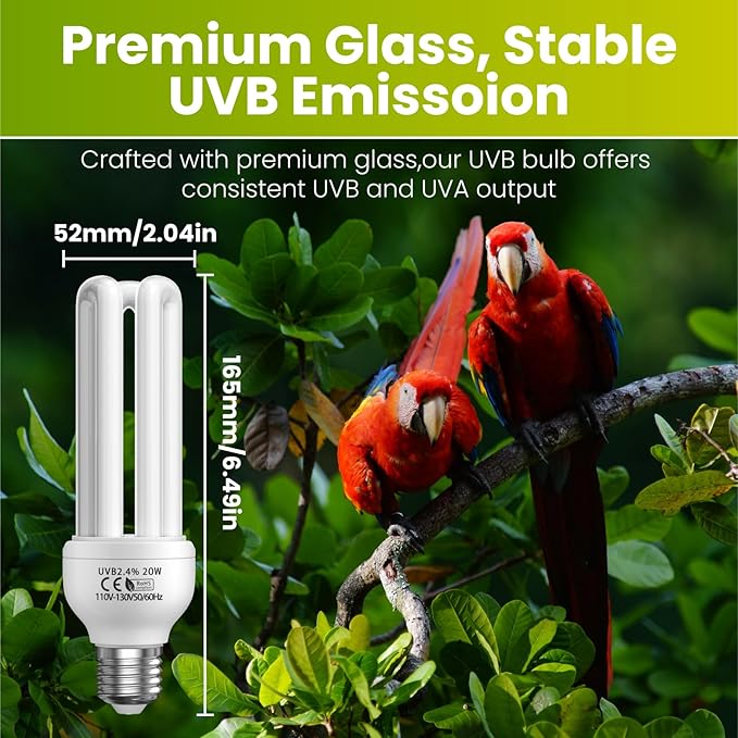 GlowUp 2.4% UVB Bulb for Birds, 20W Compact Fluorescent Light Bulb UVA UVB Light Bulbs E26 for Captive Birds and Reptiles