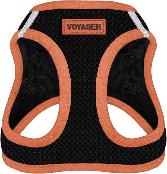 Best Pet Supplies - All Weather Mesh/Plush, Reflective, No Pull Harness for Small, Medium Dogs, Cats - Secure with Hook & Loop Fastener, Buckle, Double D-Rings - Black/Orange Trim, S