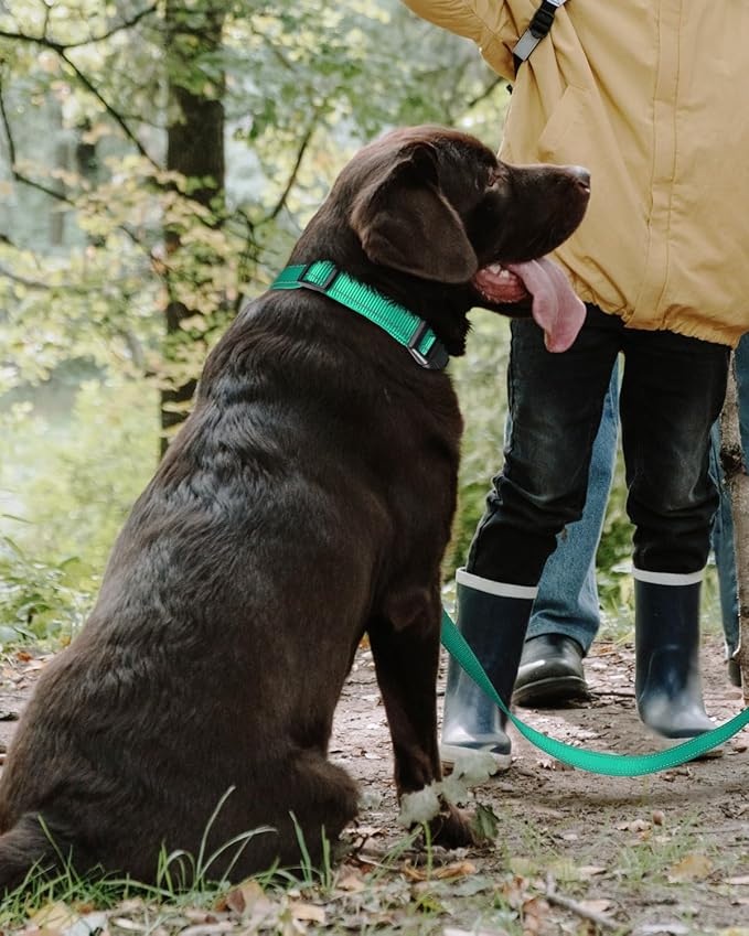 TagME Reflective Nylon Dog Collars, Adjustable Classic Pet Collar with Quick Release Buckle for Extra Large Dogs, Turquoise, 1¼" Width