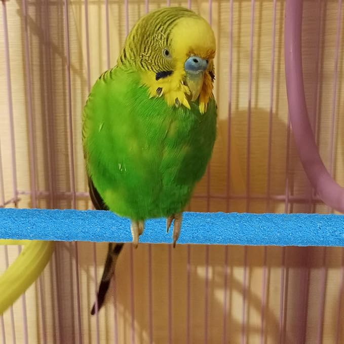 Parakeet Bird Perches for Cage, 2Pcs Wood Parrot Stand Cage Accessories Colorful Natural Wooden Stick Paw Grinding Rough-surfaced Chew for Parakeet Cockatiel Conure Budgies Lovebird (Random Color)