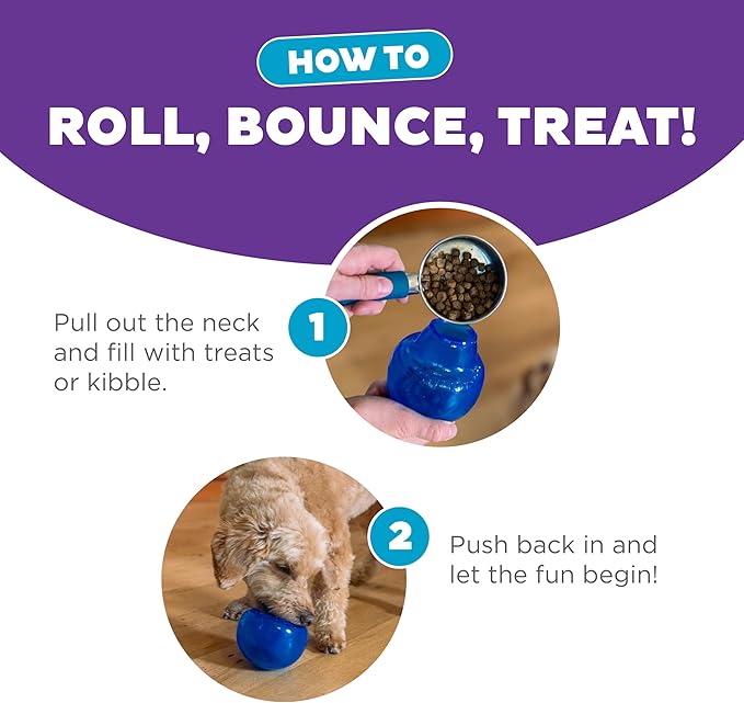 Outward Hound by Planet Dog Lil' Snoop Dog Toy – Treat‑Dispenser Puzzle Ball, Interactive Slow Feeder, Small to Medium Dogs, Bouncy & Mint-Infused, Blue, 3.9"