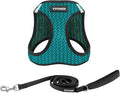 Best Pet Supplies Voyager Step-in Air All Weather Mesh Harness and Reflective Dog 5 ft Leash Combo with Neoprene Handle, for Small, Medium and Large Breed Puppies - Turquoise (2-Tone), L