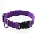Adjustable Nylon Dog Collar, pet Collar 1 Inch 3/4 Inch 5/8 Inch Wide, for Large Medium Small Dogs (S(5/8" x 11-16"), Purple)