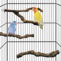kathson 3pcs Natural Parrot Perch for Cage Wooden Bird Perches Grape Bird Stick Parakeet Climbing Standing Branches Toy Chewable Cage Accessories for Small Budgies Cockatiels Lovebirds Budgies