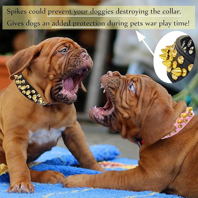TEEMERRYCA Black Leather Dog Collar with Gold Spikes for Small Medium Large Pets, Pit Bulls/Bulldog, Keep Dog Safe from Grabbing by Huge Dogs, L(15"-18.5")