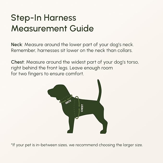 Downtown Pet Supply Step in Dog Harness for Small Dogs - Adjustable, Escape Proof Dog Harness with Reflective Trim - All-Weather, Fast-Drying Padded Mesh Fabric - Baby Pink, XS