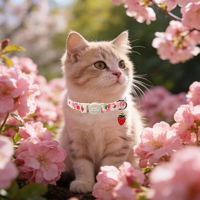 Unique Style Paws Pink Flower Kitten Collars,Cute Pink Bow Cats Collar with Bell,Kitten Collar Breakaway Buckle with Heart Pattern,Adjustable Flower Cat Collars,Ideal Gift for Boy Girl Cats