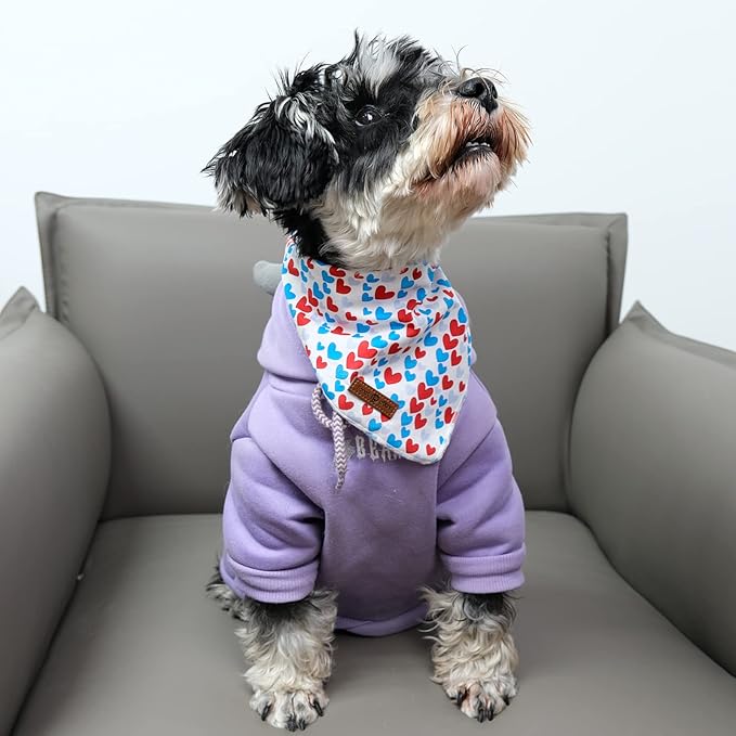 lionet paws Valentines Dog Bandana for Small Medium Large Dogs, Cat Dog Kerchief Triangle Bibs Scarf for Girl Boy