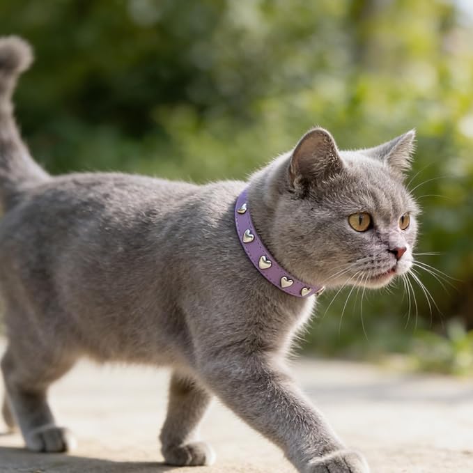 EXPAWLORER Leather Cat Collar for Girl Boy- Adjustable Pet Collar with Safety Elastic Belt,Personalized Heart Accessories Buckle Collars with Bell & Durable D-Ring,Heart (Purple)