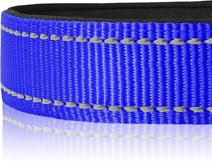 Joytale Reflective Dog Collar, Soft Neoprene Padded, Metal D-Ring, Nylon Pet Collar Adjustable for Medium Dogs, Navy Blue, M