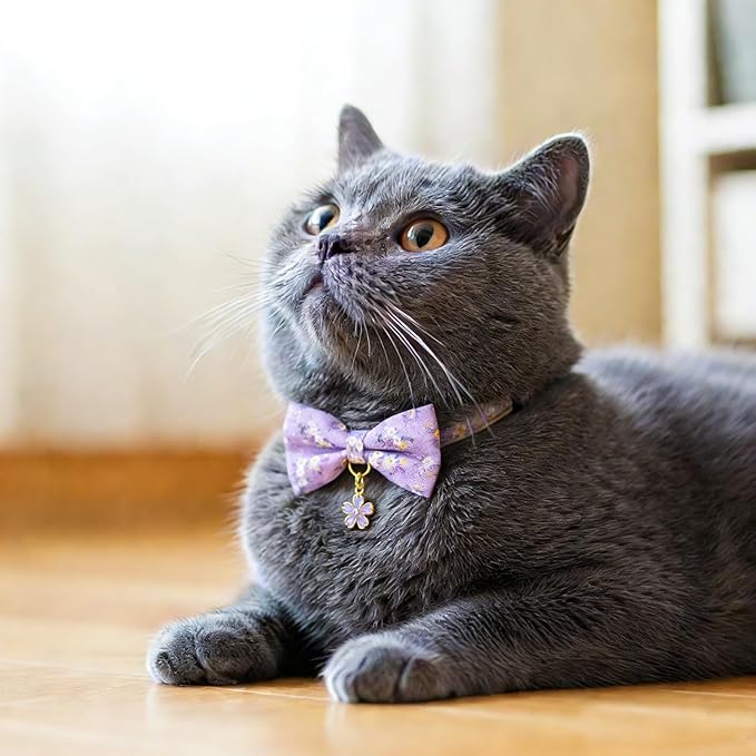 2 Pack Floral Cat Collars with Bow Tie and Bell Adjustable Breakaway Bowtie Cute Kitten Collar(Purple & Pink Flowers)